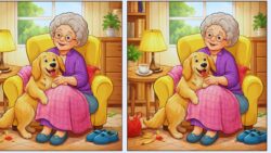 8-Second Visual Test: Find the 3 Subtle Differences in the Grandma and Dog Scene