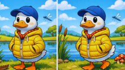 8-Second Visual Challenge: Spot the 3 Differences in the Duck Wearing a Jacket Image
