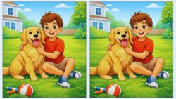 12-Second Visual Puzzle: Can You Detect 3 Hidden Differences in the Boy and Dog Photo